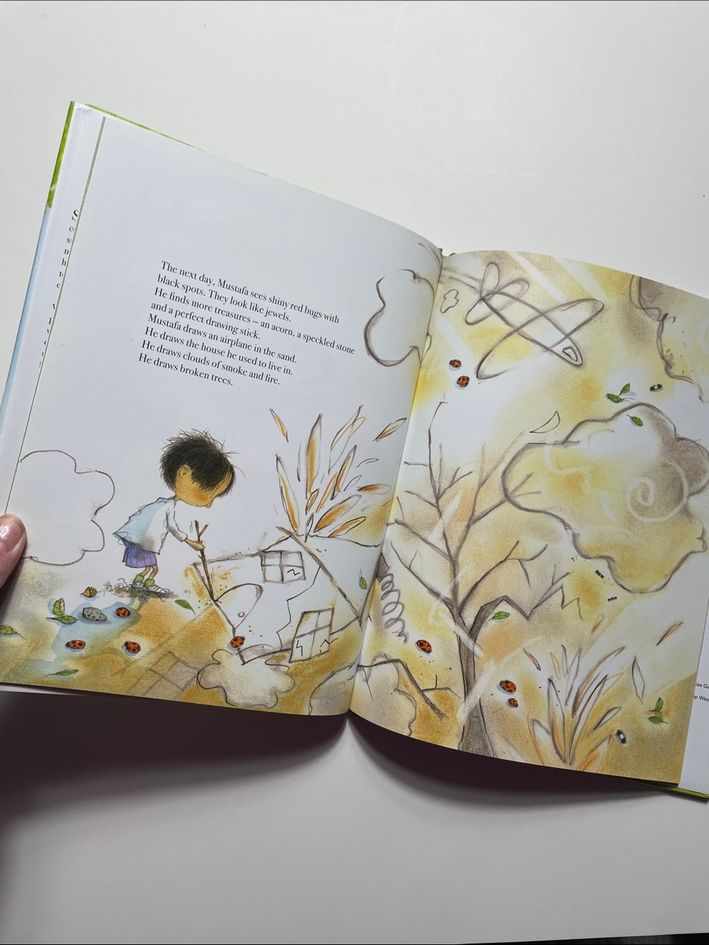 ๐ 4/$20 Mustafa by Marie-Louise Gay | Kids Books Childrens Book - Picture 3 of 4